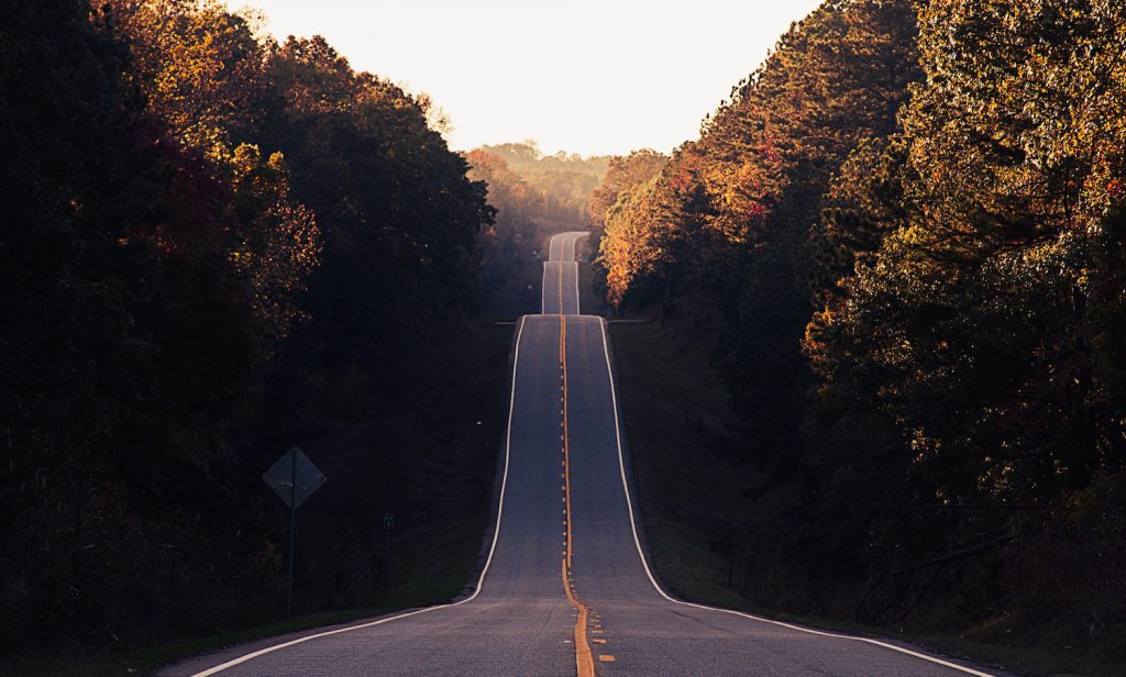 deco image: long road through trees